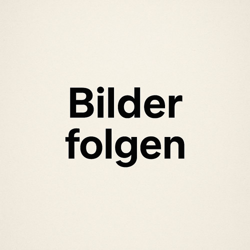 Solido dodge feuerwehr - wc,